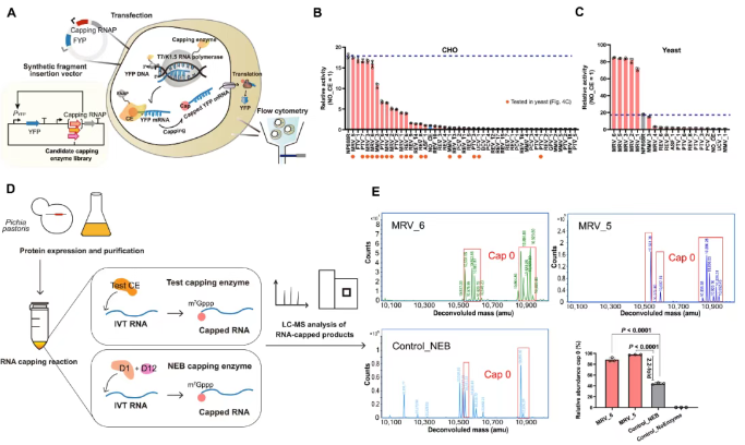 1744857899393740.png image.png