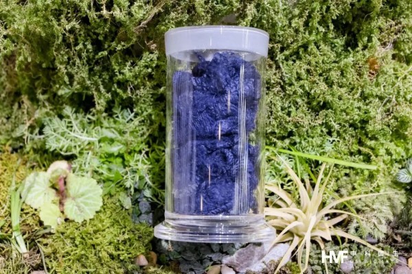 1747206530583424.jpg 15.jpg