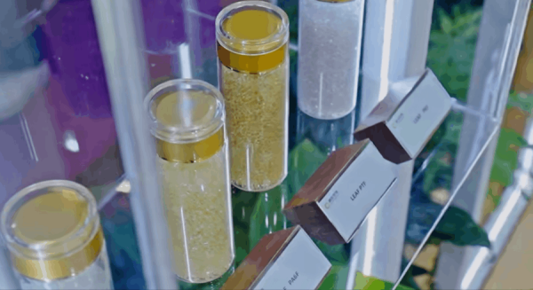 1747206560107626.png 17.png