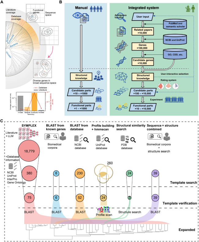 1749570338108052.png 1(1).png