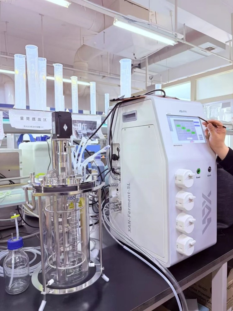 1749664897148803.jpg 3(1).jpg