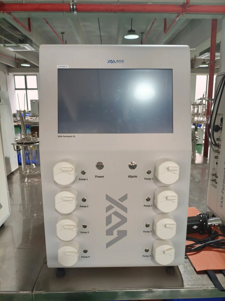 1749664919269378.jpg 4(1).jpg