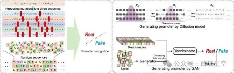 1749666884101425.jpg 2(2).jpg