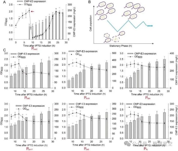 1749666900730378.jpg 3(2).jpg