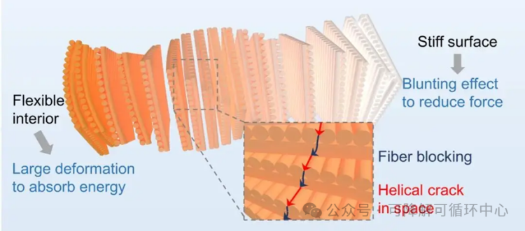 1750527248387329.png 2.2(1).png