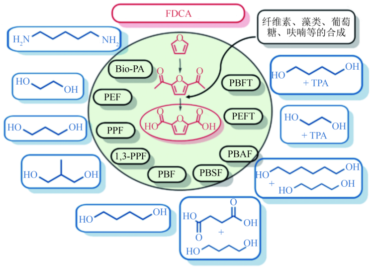 1751561079329537.png 3.1(1).png