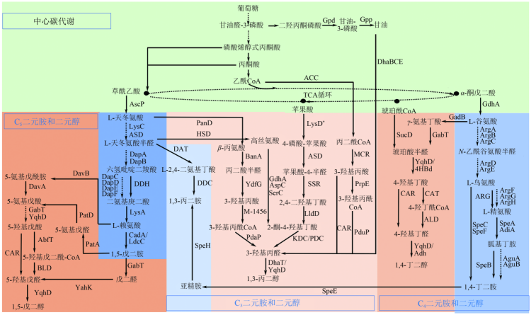 1751562980121646.png 4.4.png