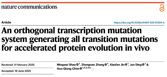 1752023132815925.png image.png