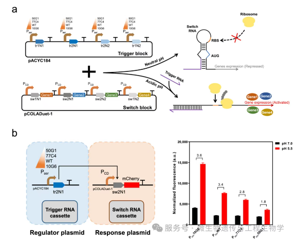 1752477288.png image.png