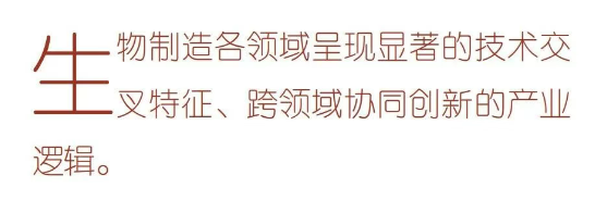 1752627316.png image.png