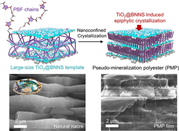 1753117471894071.png 2.2(1).png