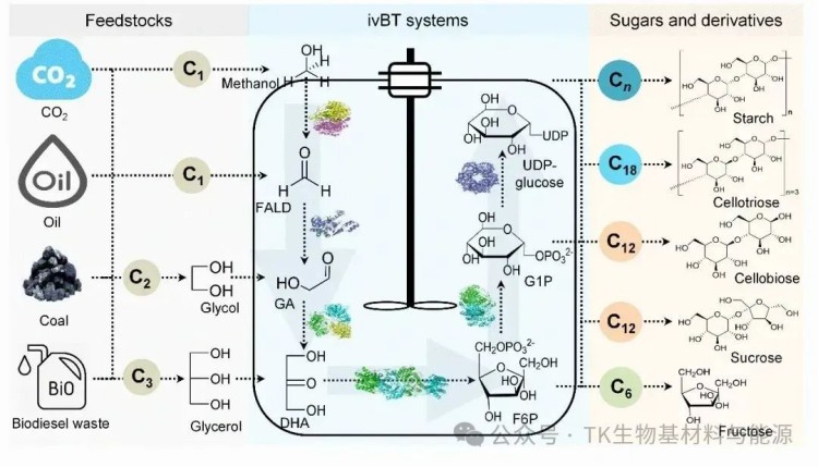1753129568937232.jpg 4.3(1).jpg