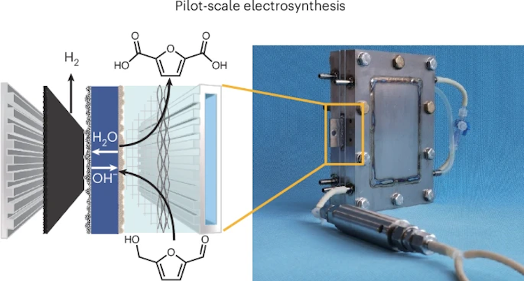 1753807674120902.png 2.2.png