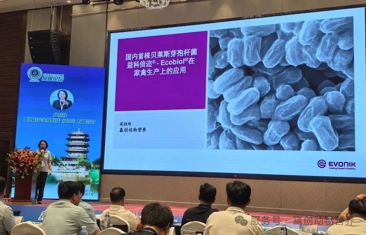 1754310883983276.jpg 1.2.jpg