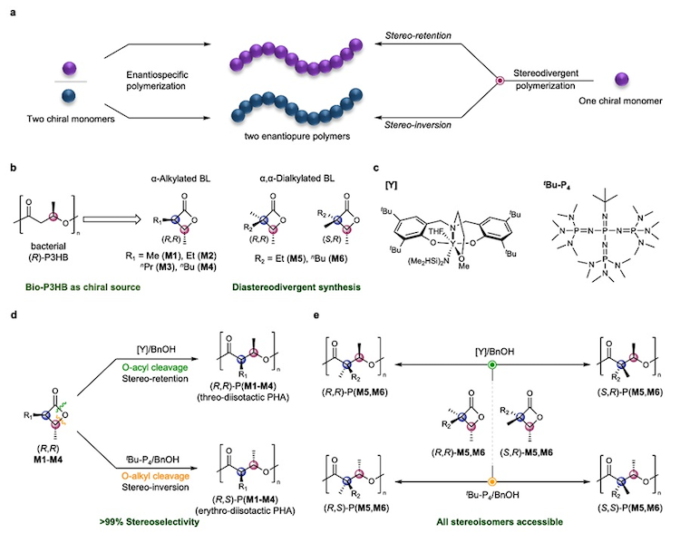 1754311612326869.png 3.1.png