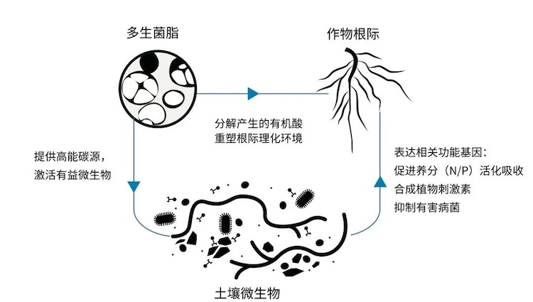 1754553029120630.jpg 2.1.jpg