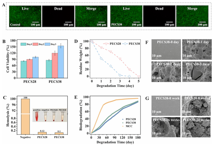 1754659722994937.png 2.5.png