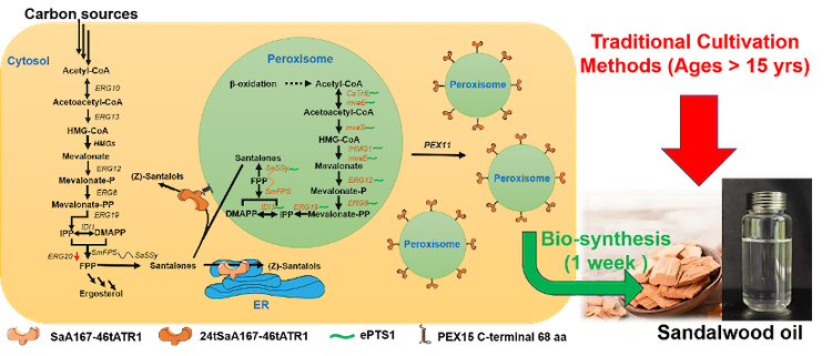 1754727360130283.png 3.1.png