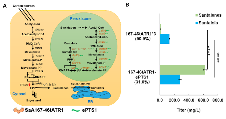 1754727421314906.png 3.2.png