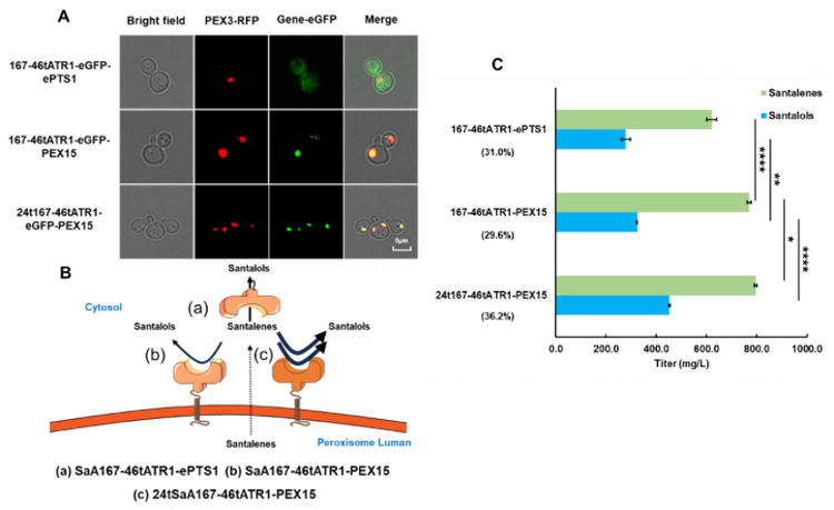 1754727475105333.png 3.3.png