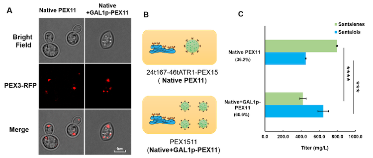 1754727520116788.png 3.4.png