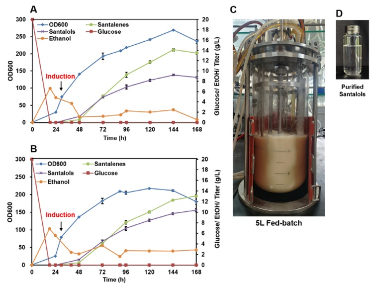 1754727564239902.png 3.5.png