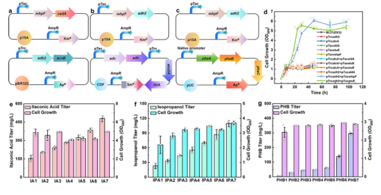 1754994599910380.png 3.4.png