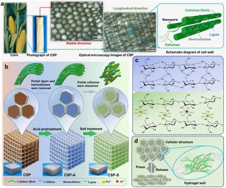 1755101123109283.jpg 2.2.jpg