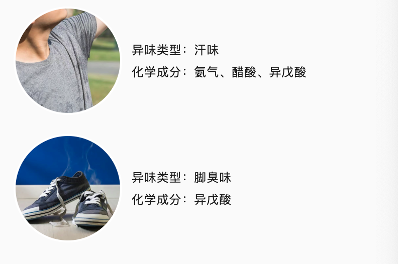 1755102078133587.png 1755102078133587.png