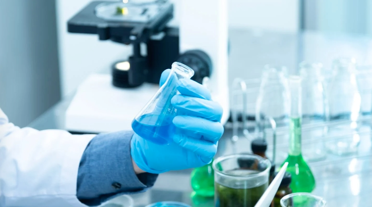 1755556081122313.png 2.1.png