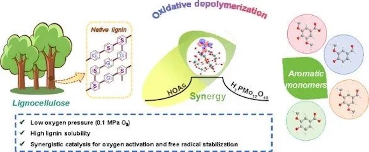 1755796356107007.jpg 3.2.jpg