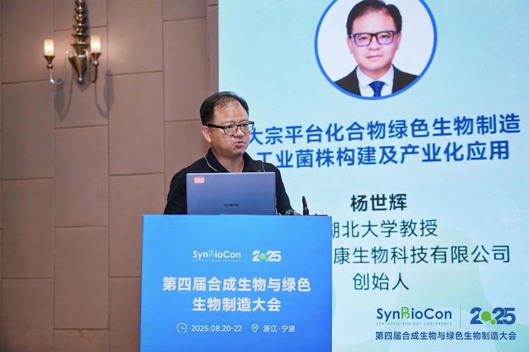 1756040360858397.jpg 1.13.jpg