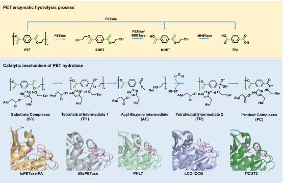 1757640909542372.png image.png