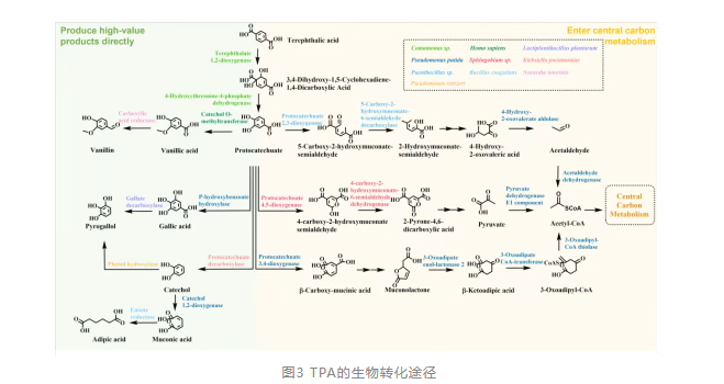 1757641070102807.png image.png