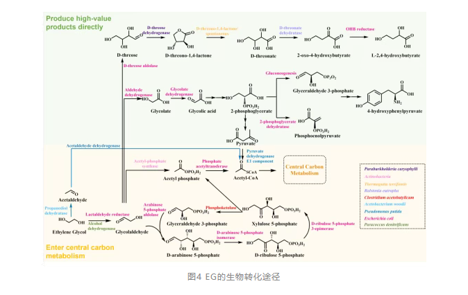 1757641096414955.png image.png