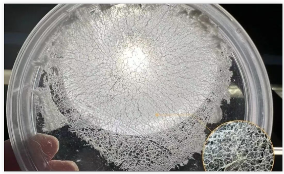 1759124763912574.png image.png