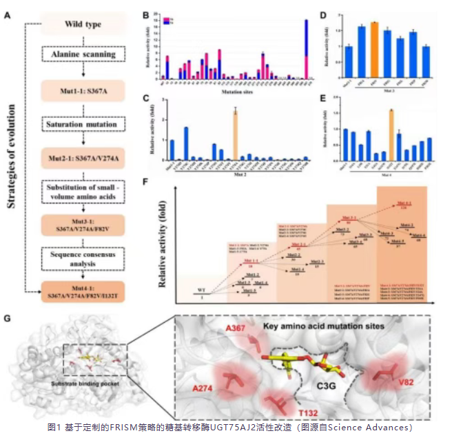 1760520780112420.png image.png