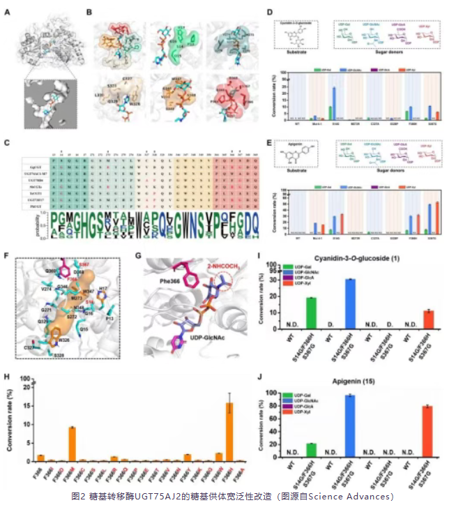 1760520792158787.png image.png