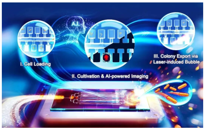 1760940715133351.png image.png