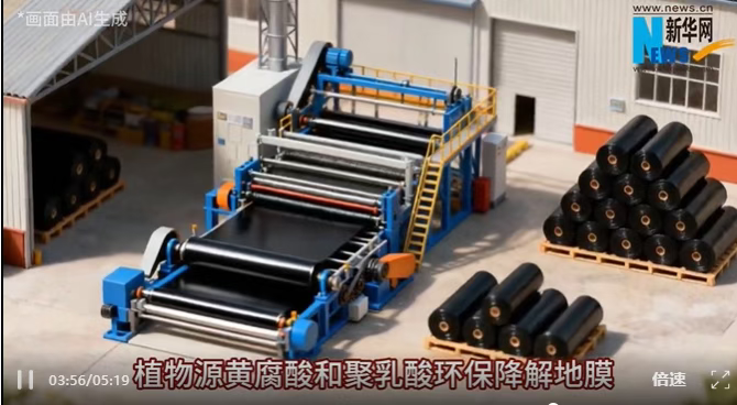 1763090927563113.png image.png