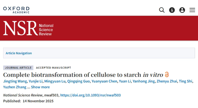 1764728821195579.png image.png