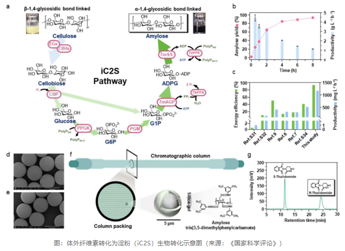 1764728907950744.png image.png