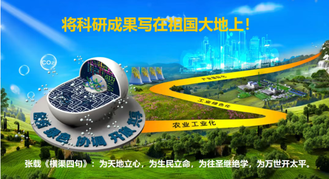 1764729304103056.png image.png