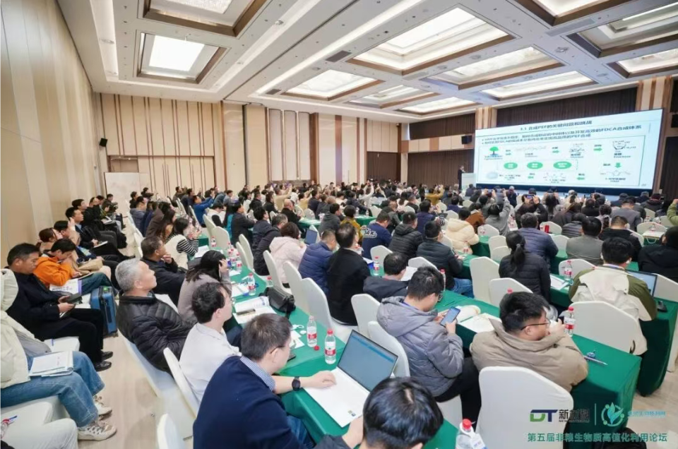 1765083325842992.png image.png