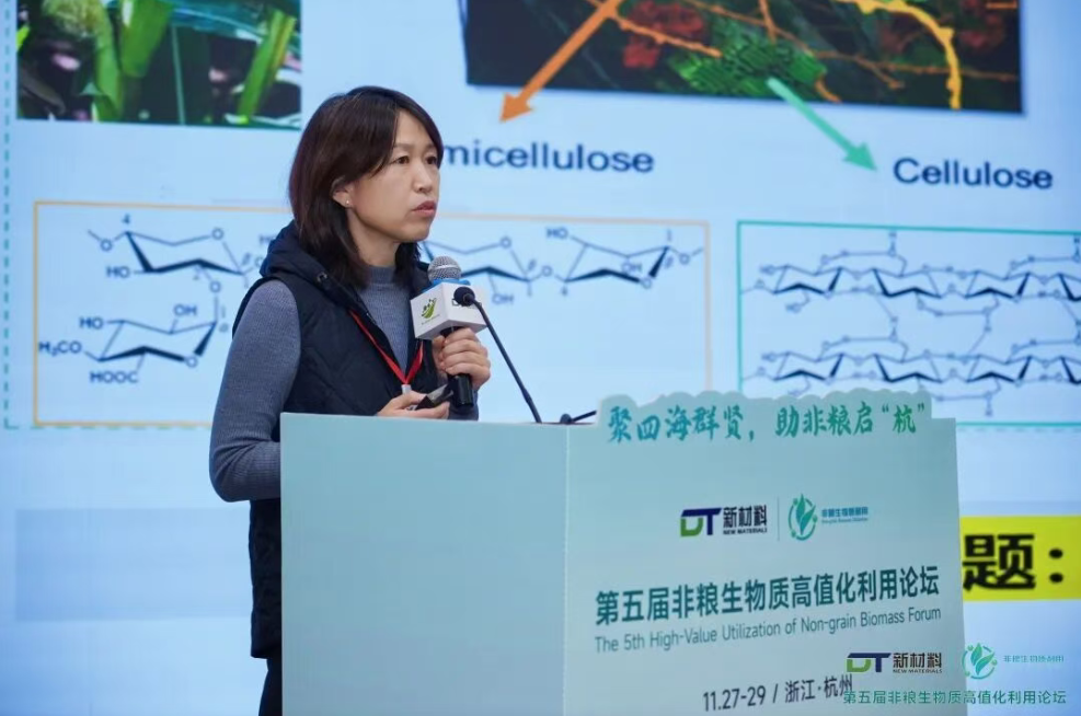 1765083476101408.png image.png