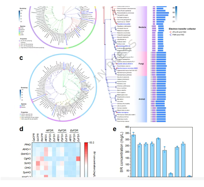 1766999649485581.png image.png