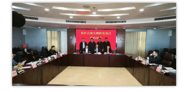 1768185714115366.png image.png