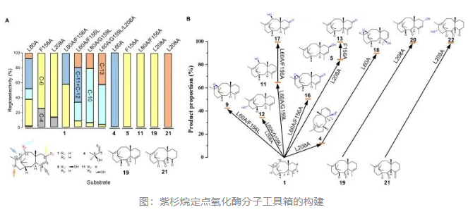 1768976255736534.png image.png