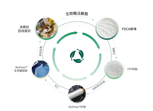 1769160467732154.png image.png