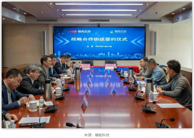 1770088667953810.png image.png